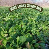 WMS Lucky Seven Mix 50lb bag