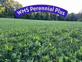 WMS Perennial Plus 3lb