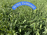WMS TriticOat Mix 50lb bag