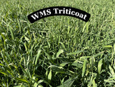 WMS TriticOat Mix 50lb bag