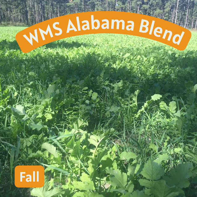 WMS Alabama Blend 50lb bag