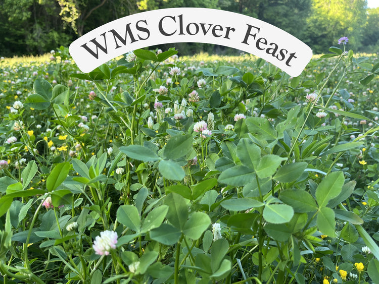 WMS Clover Feast 3lb