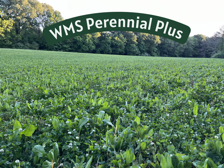 WMS Perennial Plus 9lb