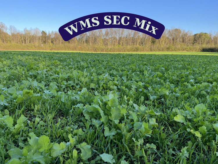 WMS South East Covered Mix