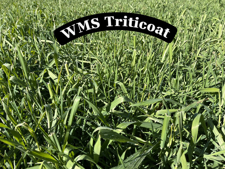 WMS TriticOat Mix 50lb bag
